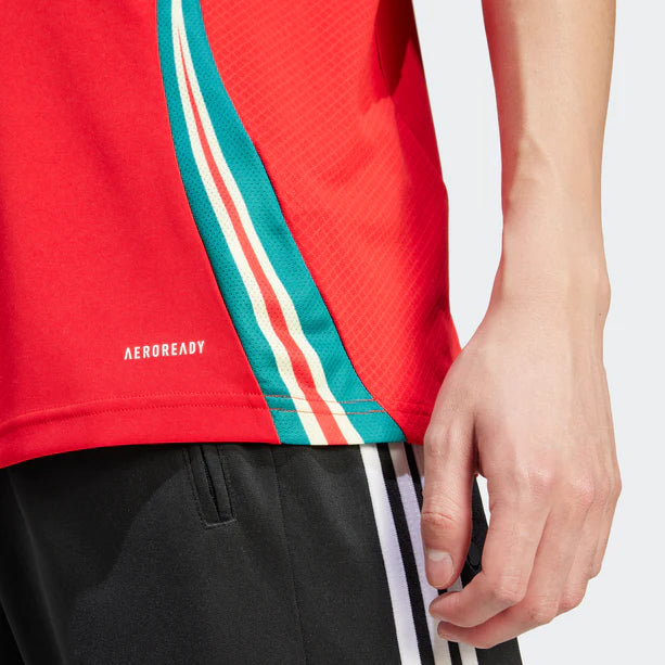 Adi Wales 24 Home Jersey